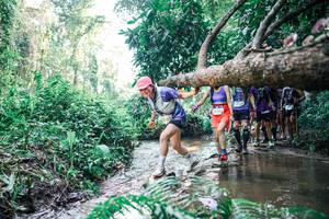 BIB: 
                            <button type="button" onclick="openModal(25466890)" class="btn btn-primary btn-sm float-right btn-popup" data-toggle="modal" data-target=".modal-high-quality">
                        <i class="fas fa-shopping-cart"></i> Add to Cart
                    </button>
                                            <button type="button" onclick="isThisMe(25466890, true)" class="btn btn-success btn-sm float-right btn-popup btn-isme hidden" data-toggle="tooltip" data-placement="bottom" title="นี่คือรูปของคุณใช่ไหม คลิกที่นี่เพื่อเอาเข้าอัลบั้ม">
                        <i class="fas fa-plus"></i> Add to album
                    </button>
                    <button type="button" onclick="isThisMe(25466890, false)" class="btn btn-warning btn-sm float-right btn-popup btn-isnotme hidden">
                        <i class="fas fa-ban"></i> Remove from album
                    </button>